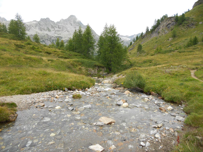 Alpe della Valle